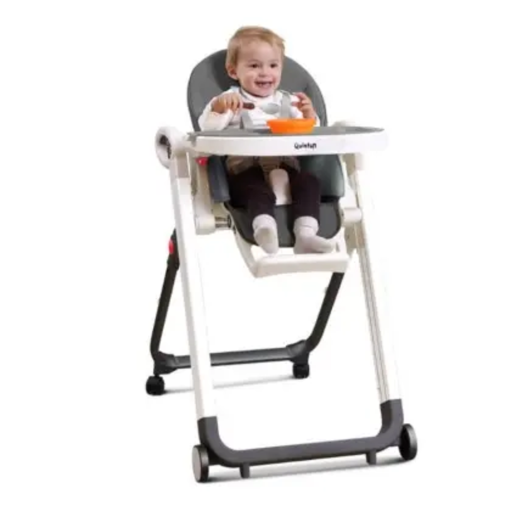 Quinton Go Berry Multifunction High Chair