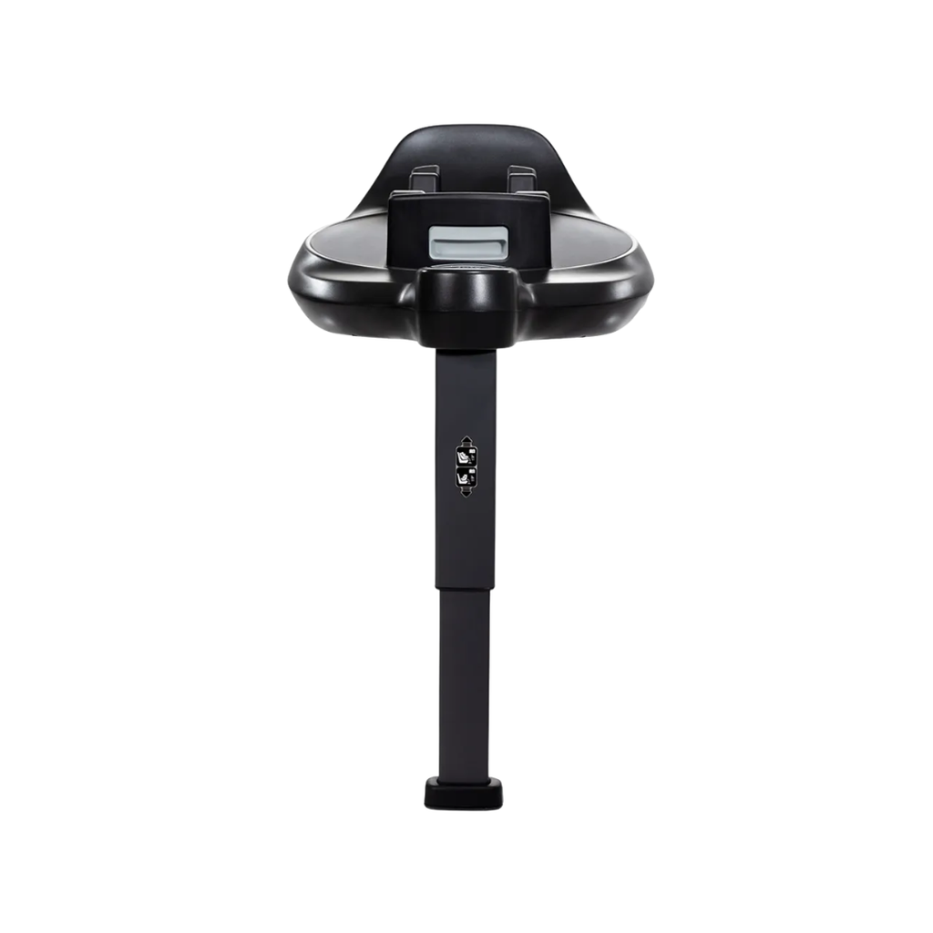 Your paragraph text (30)