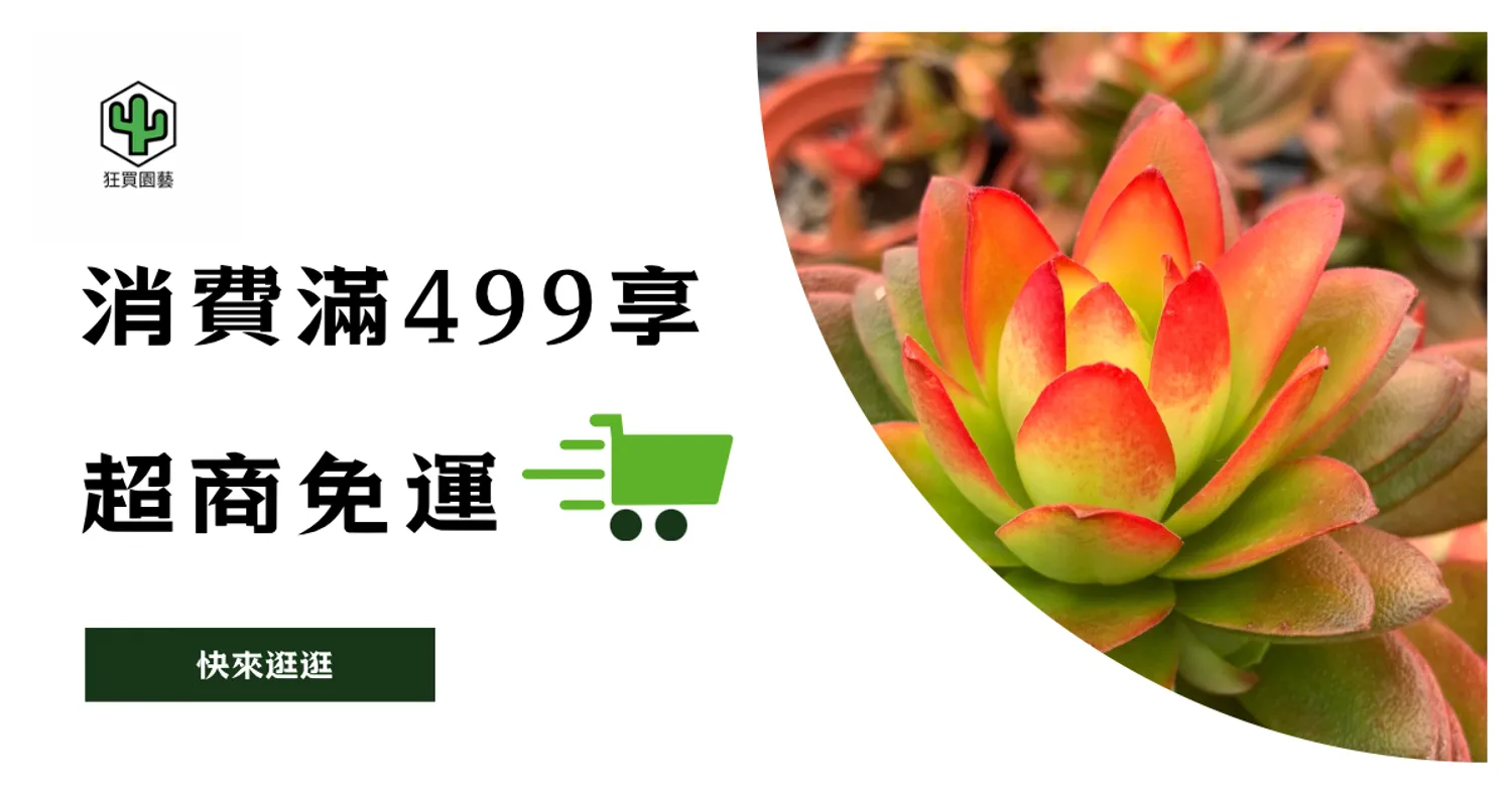 狂買園藝 - 多肉植物專賣 | 