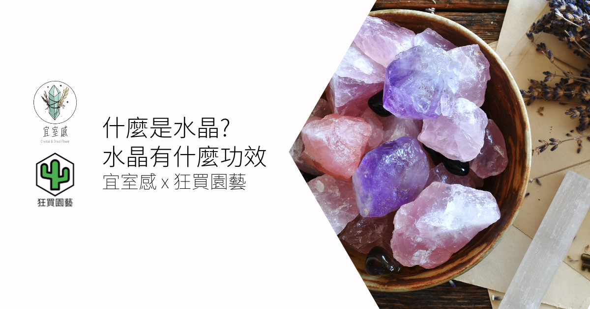 什麼是水晶?水晶的功效有哪些? | 宜室感 X 狂買園藝