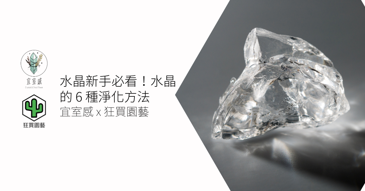水晶新手必看!水晶的 6 種淨化方法 | 宜室感 X 狂買園藝
