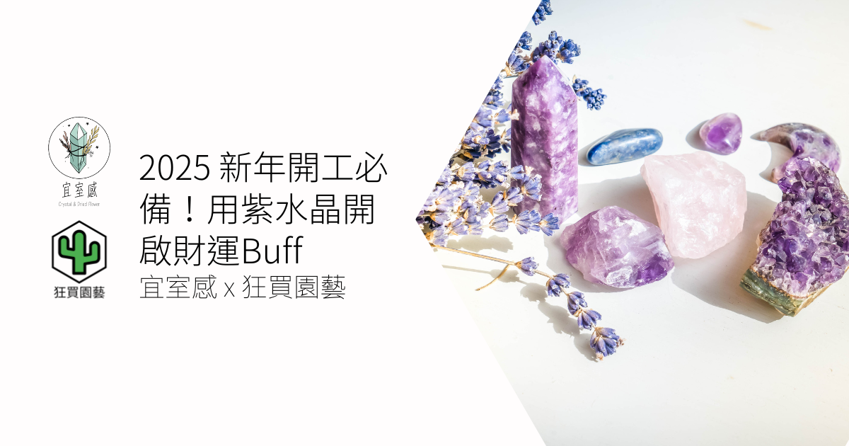 2025 必備!用紫水晶開啟財運Buff | 宜室感 X 狂買園藝