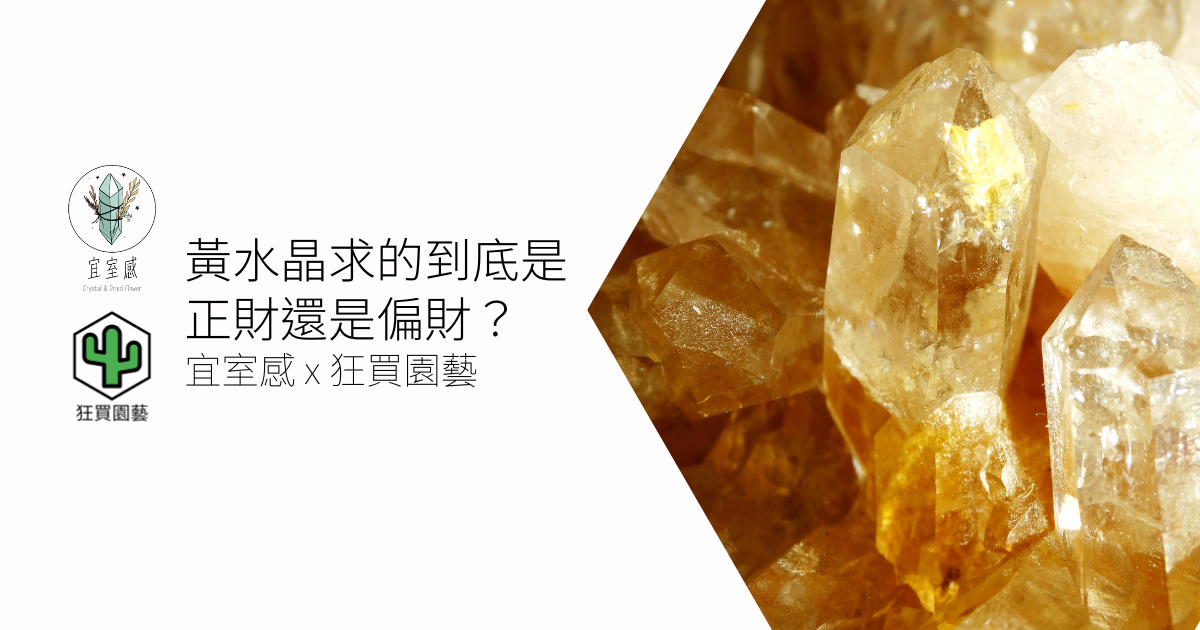 [水晶 Q&A] 黃水晶有求財功效，但黃水晶到底是正財還是偏財？ | 宜室感 X 狂買園藝
