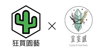 狂買園藝 - 多肉植物專賣