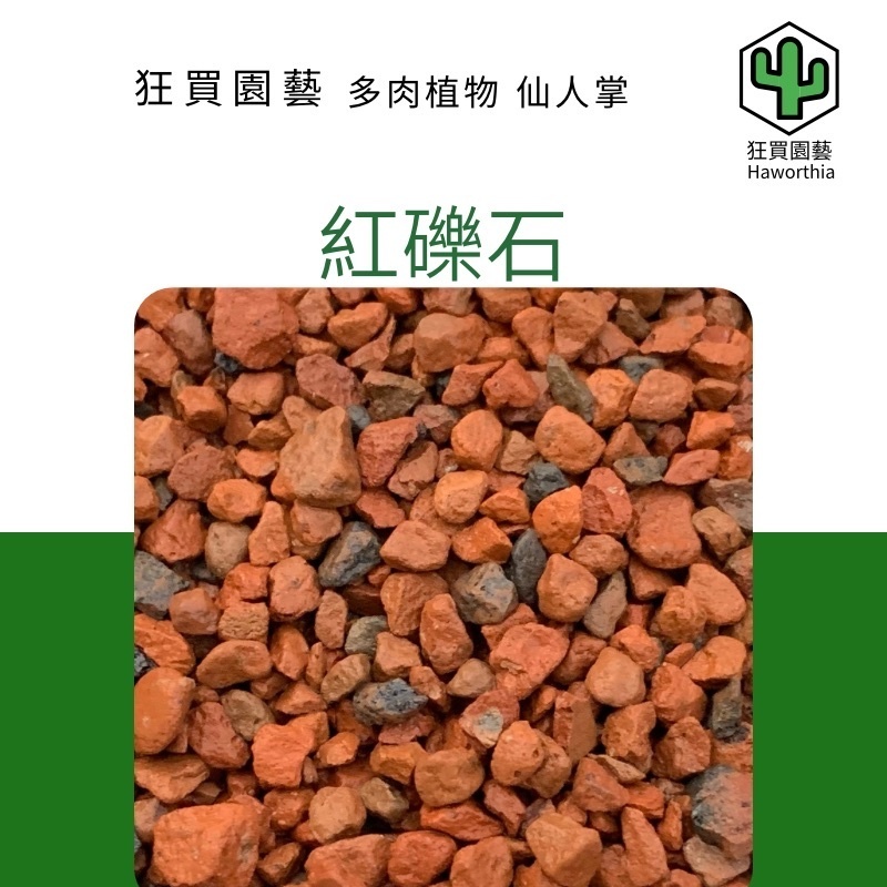 園藝資材紅礫石0.5公升裝鋪面介質– 狂買園藝- 多肉植物專賣 園藝資材紅礫石0.5公升裝鋪面介質– 狂買園藝- 多肉植物專賣