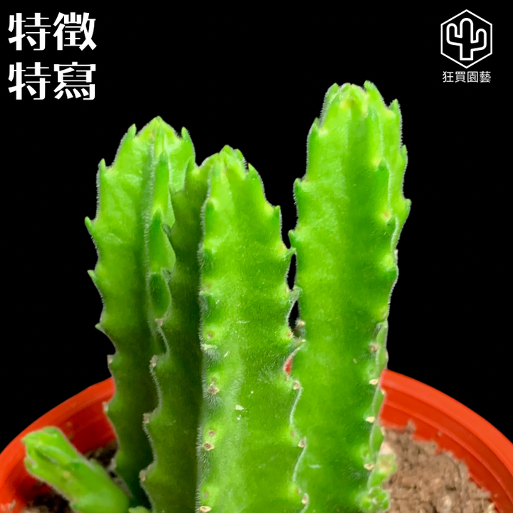 308D22C9-55E7-4781-9C1E-619320A52A6D-1735721121760