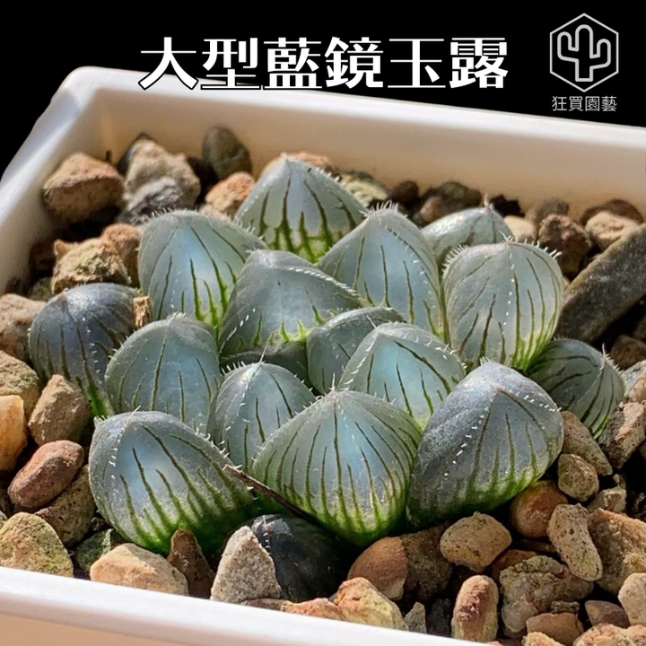 紅唇 的複本.zip - 14-1735738751921
