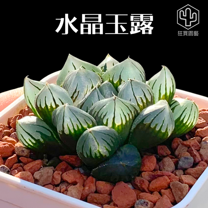 紅唇 的複本.zip - 29-1735739329045