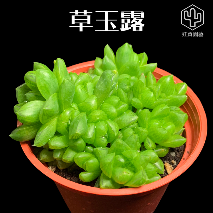 紅唇 的複本.zip - 32-1735739581678