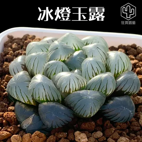 紅唇 - 9-1735801317183