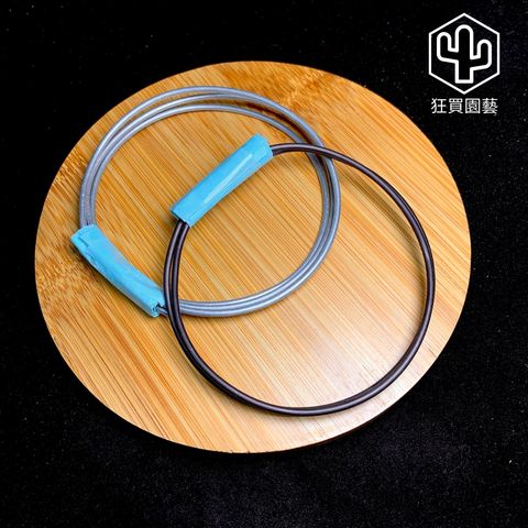 標題 - 1-1736137899158