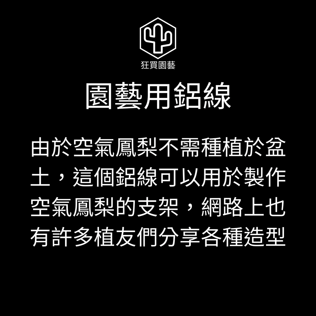 24895D01-62AF-4B64-B761-89E81BD913AB-1736137899153