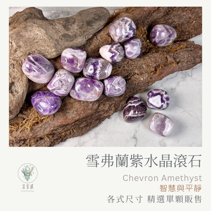 雪弗蘭紫水晶滾石-商品圖