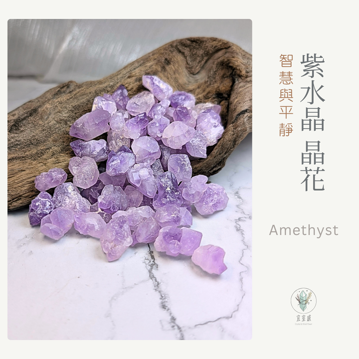 紫晶花商品圖
