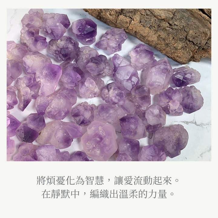 紫晶花象徵短語