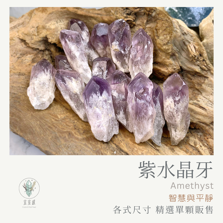 紫水晶牙商品圖