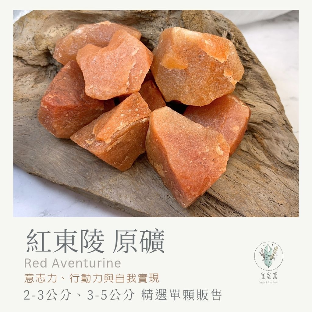 紅東陵 new_20251117_105407_0000