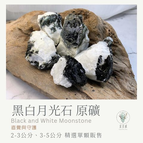 黑白月光 new_20251126_123156_0000