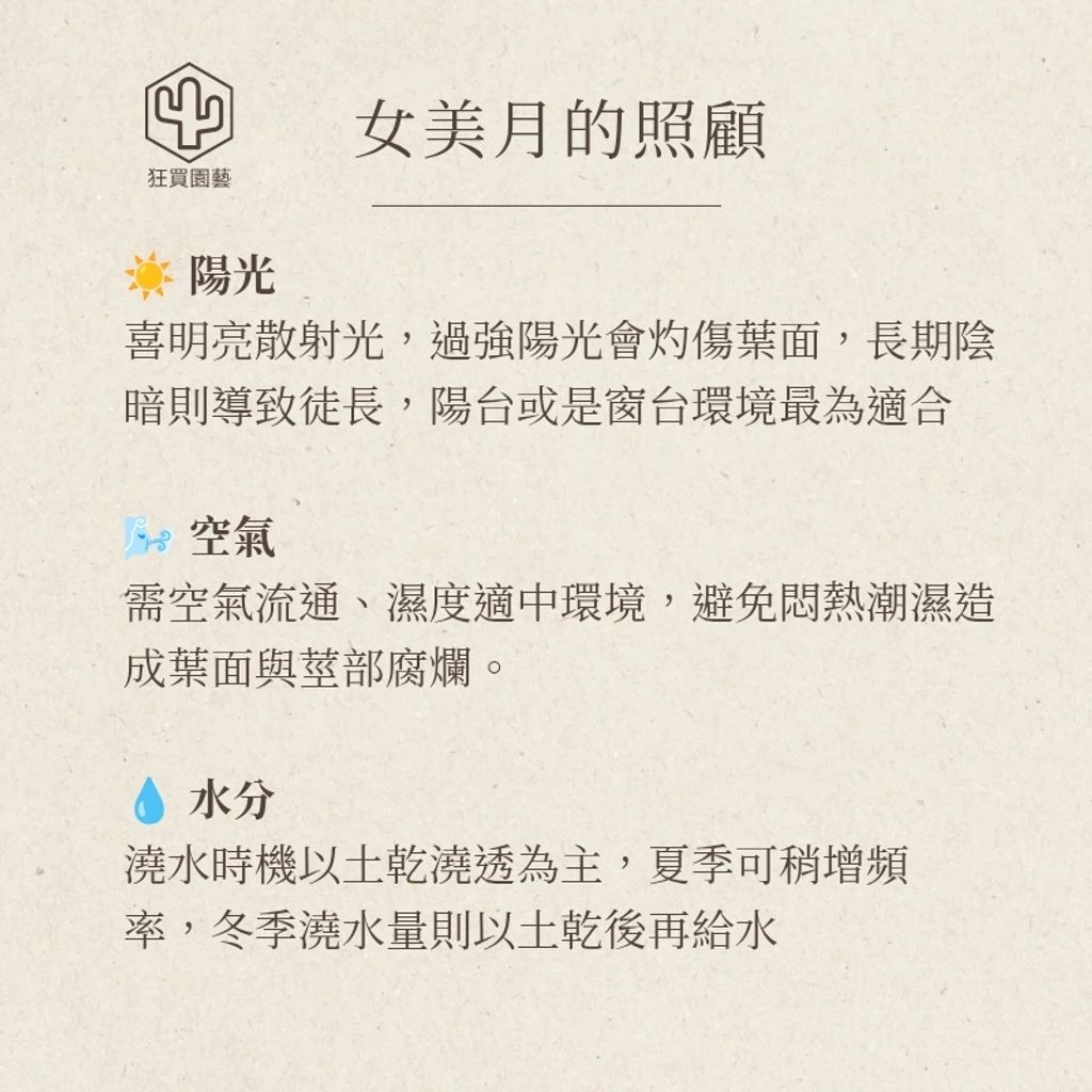 小卷柏 的複本_20251211_223622_0003