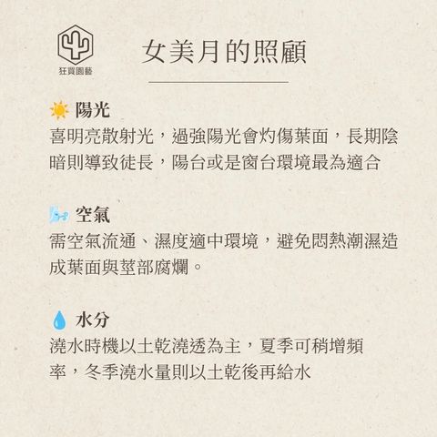 小卷柏 的複本_20251211_223622_0003