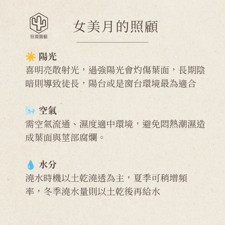 小卷柏 的複本_20251211_223622_0003