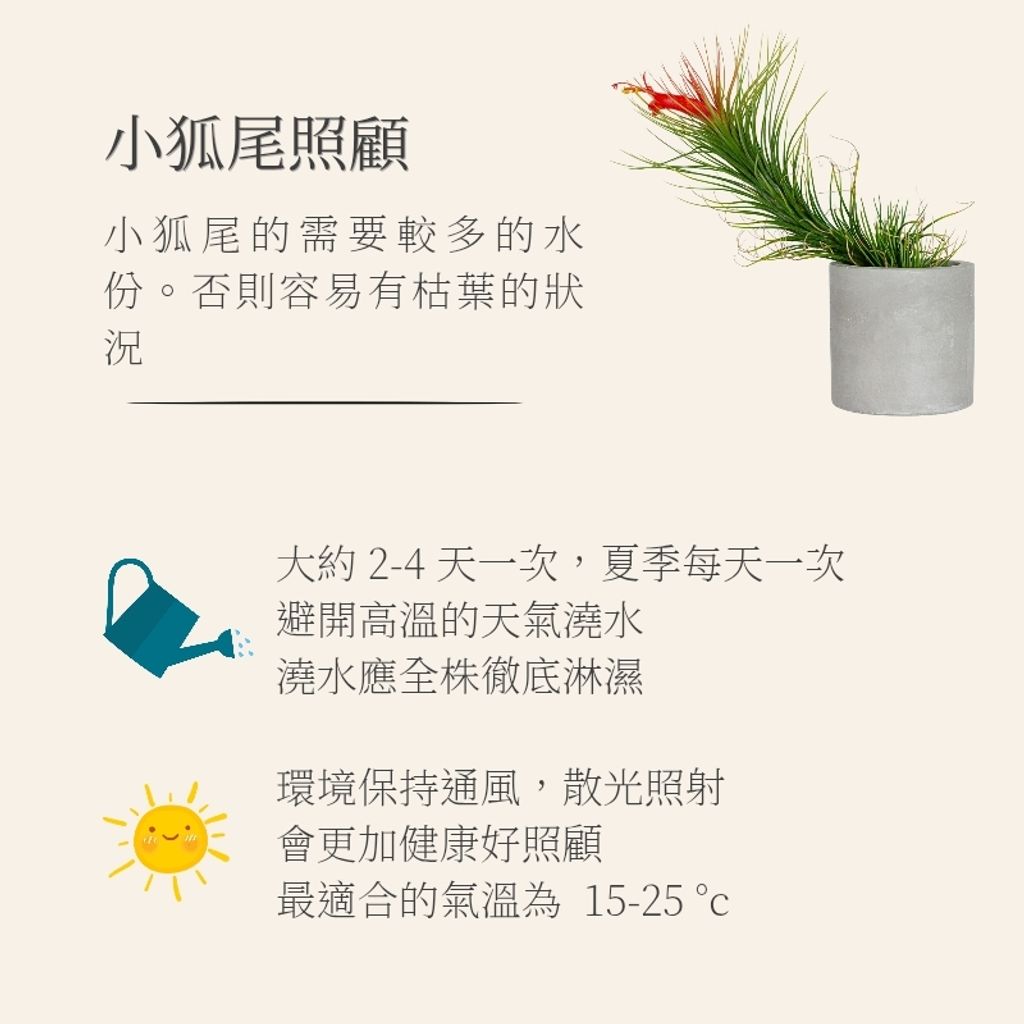 空氣鳳梨模板_20251128_034013_0002