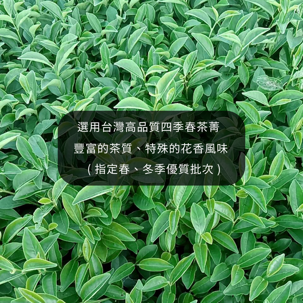 工作區域 1茶園照