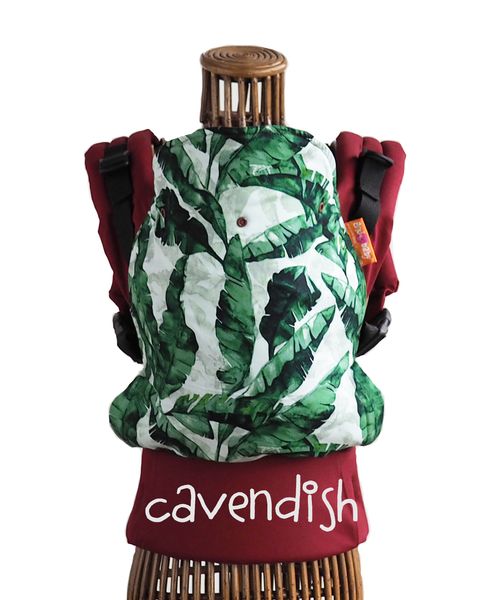 SSC Cavendish.JPG.jpg