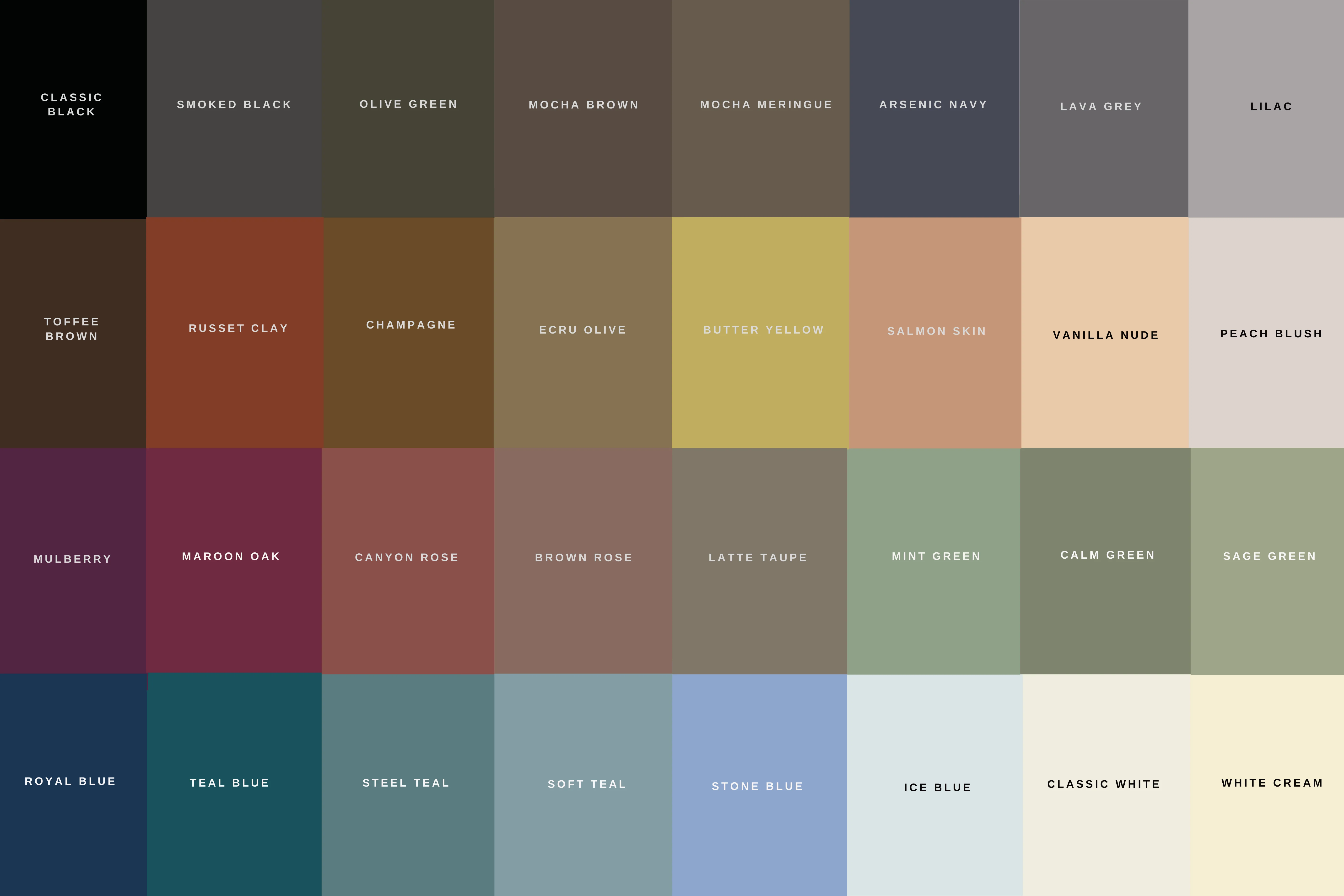 WEBP COLOUR PALLETE CARABAS BOY