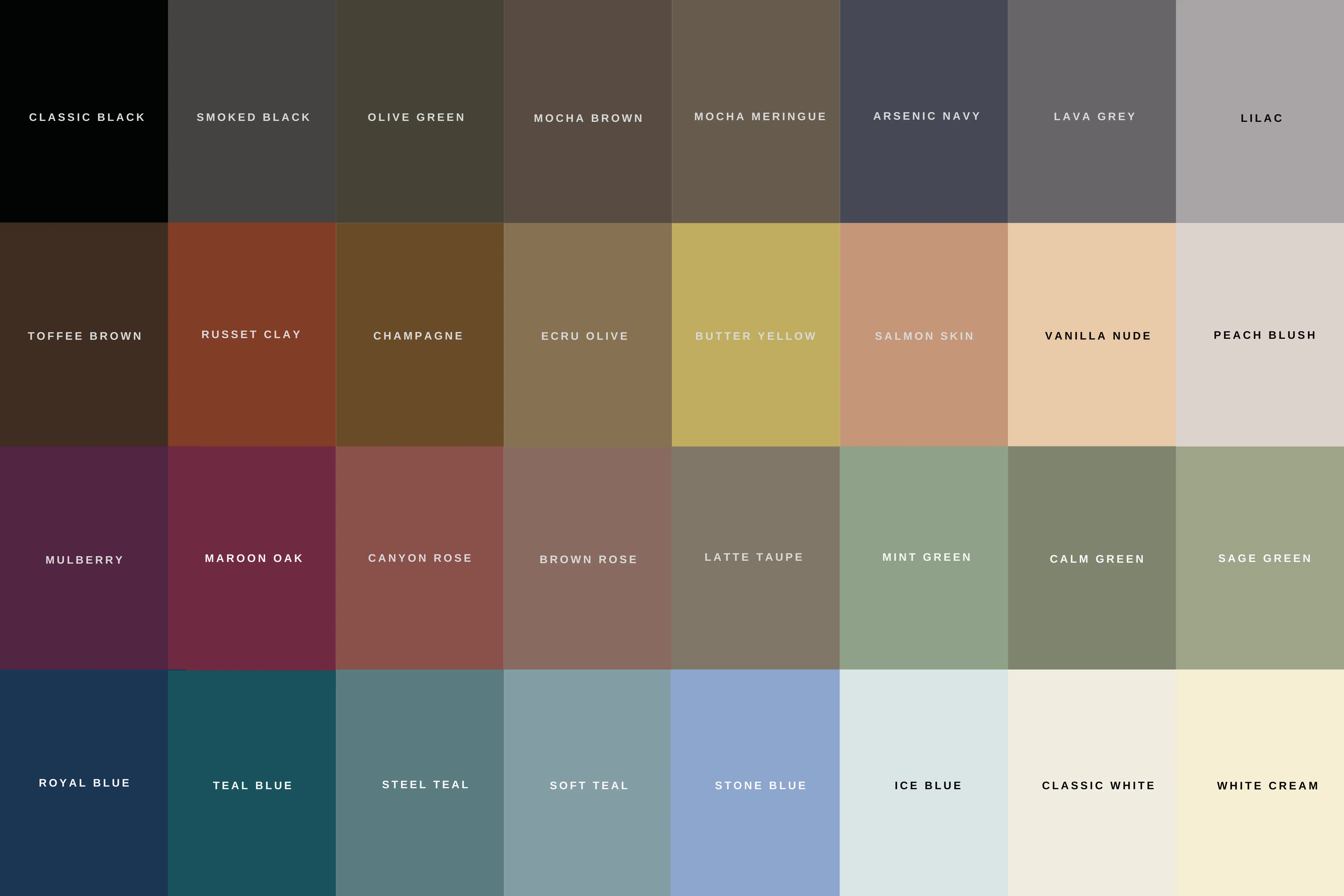 WEBP NEW COLOR PALETTE CARABAS LS 