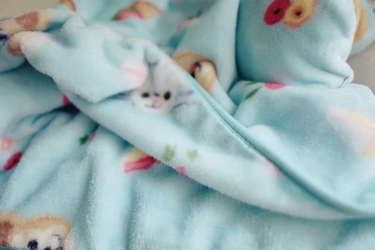 4739705054_728611897