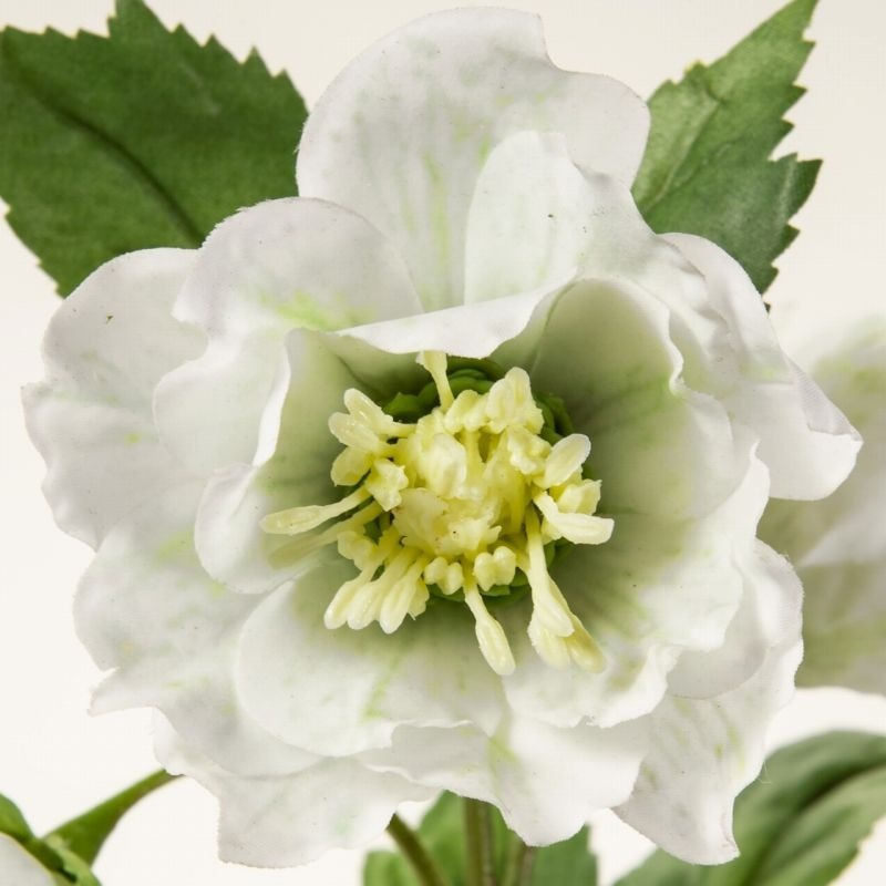 imgi_96_4967116613417