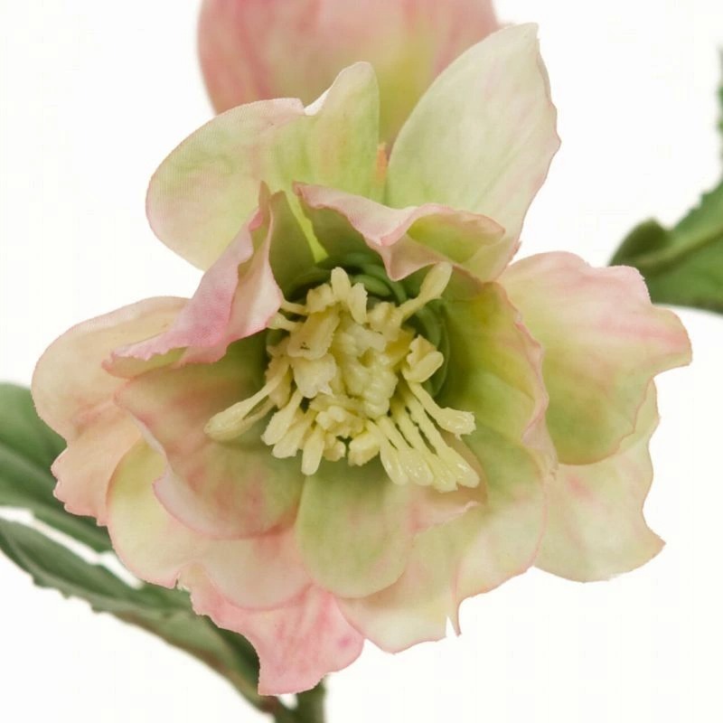 imgi_86_4967116530998