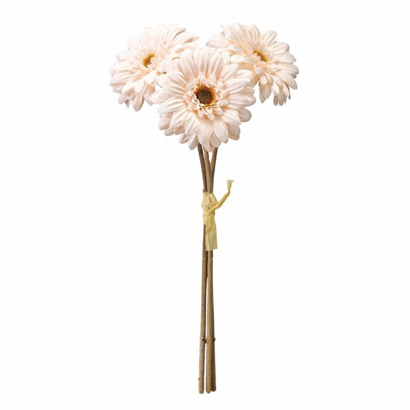 imgi_57_4967116712318