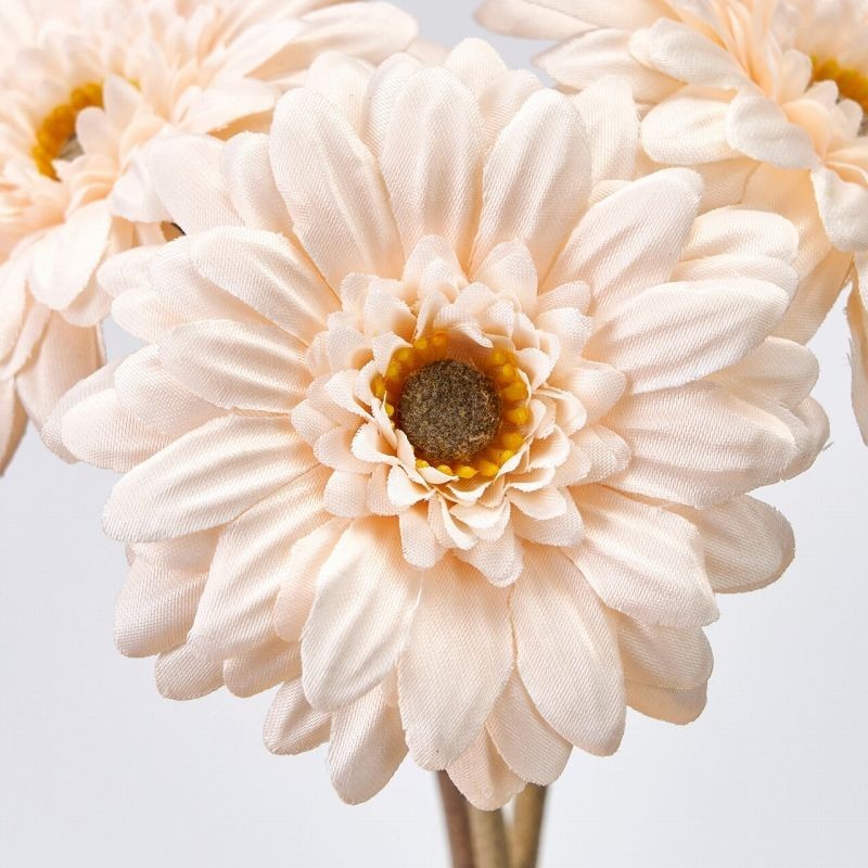 imgi_56_4967116712318