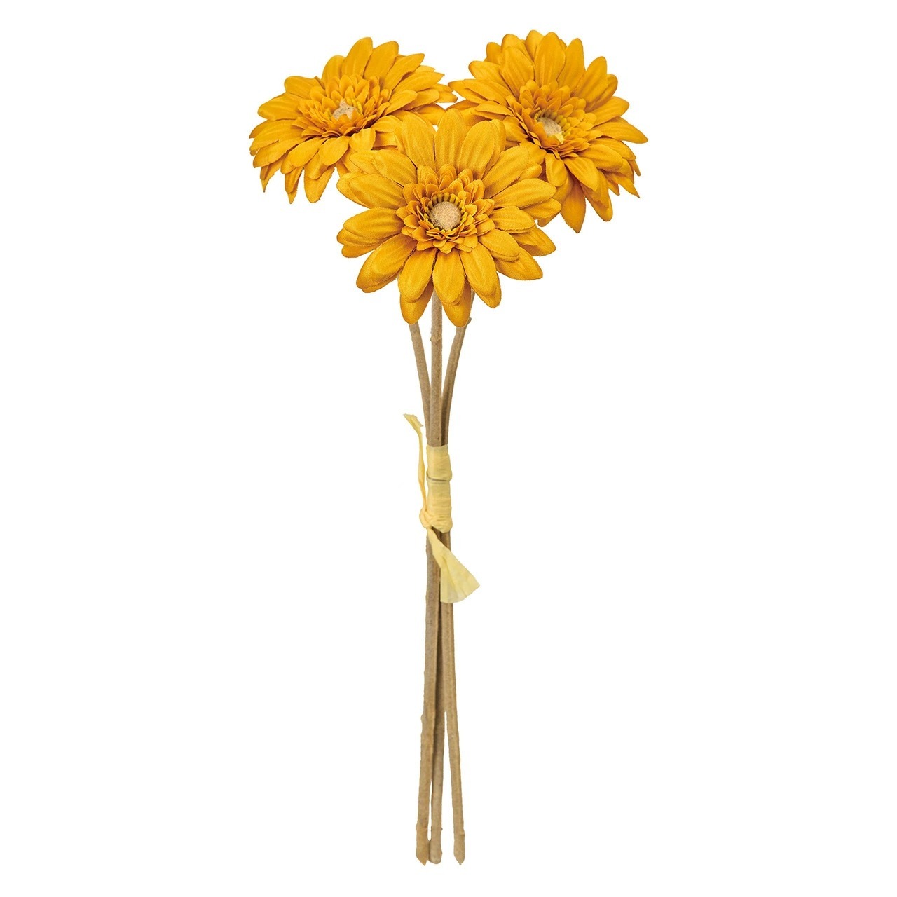 imgi_50_4967116945938