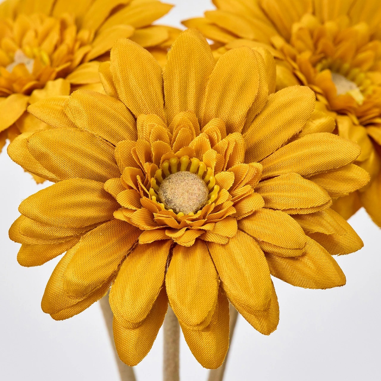 imgi_49_4967116945938