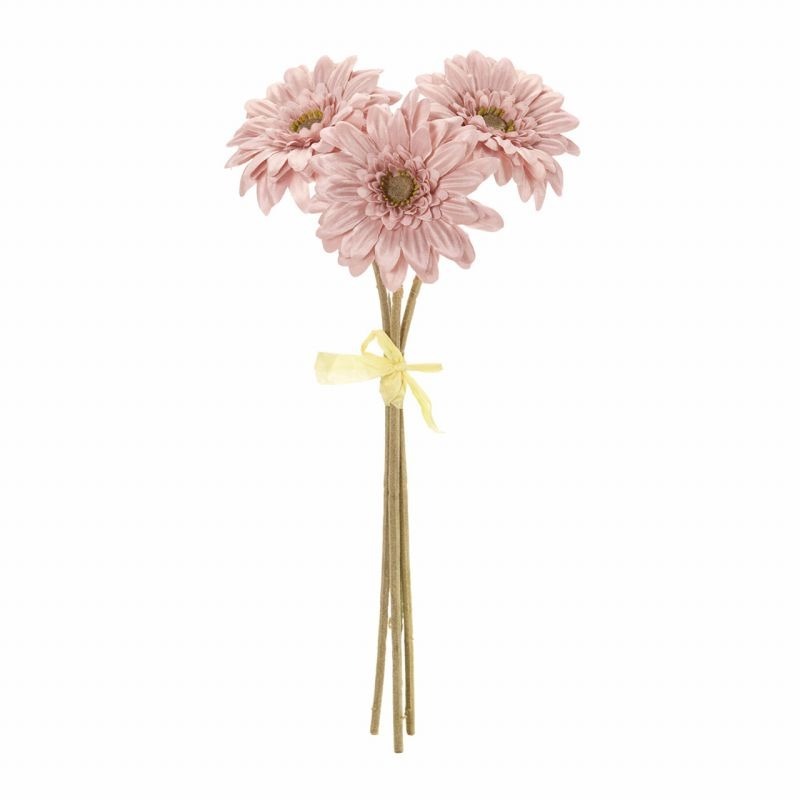 imgi_88_4967116541260