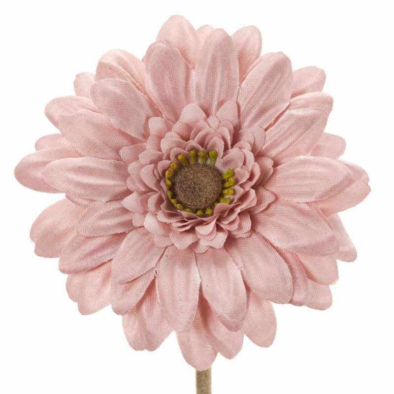 imgi_87_4967116541260