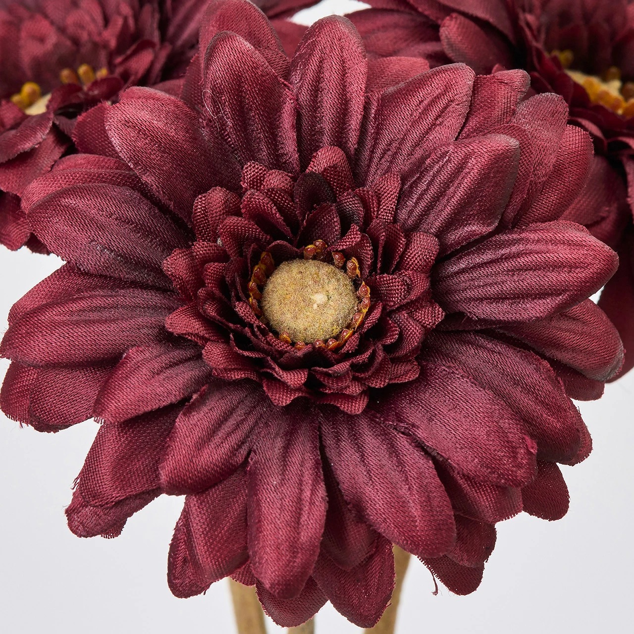 imgi_66_4967116945907