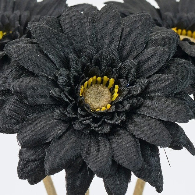 imgi_62_4967116917829