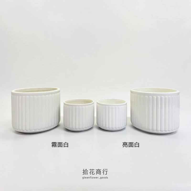 VIP02-Photoroom-1