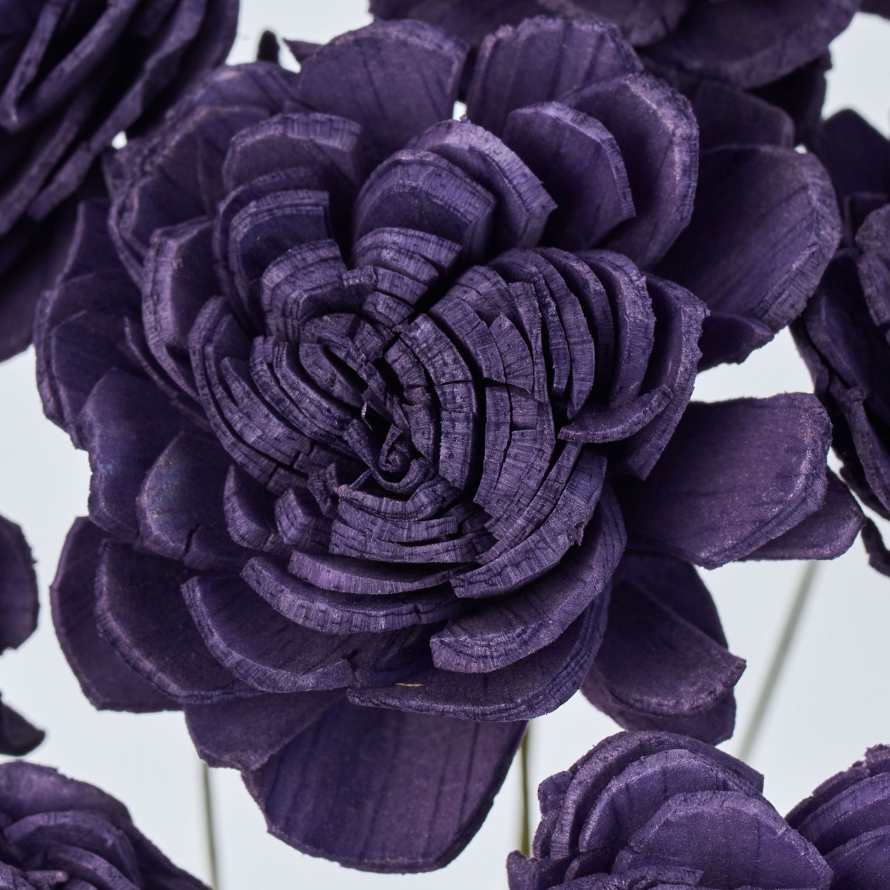 imgi_67_4967116757418