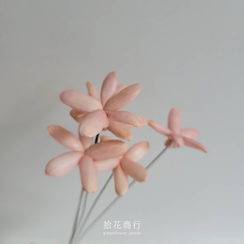 805930_0