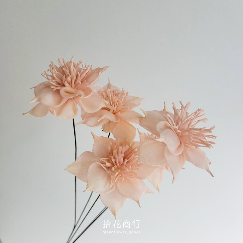 蜜桃橘 (3)