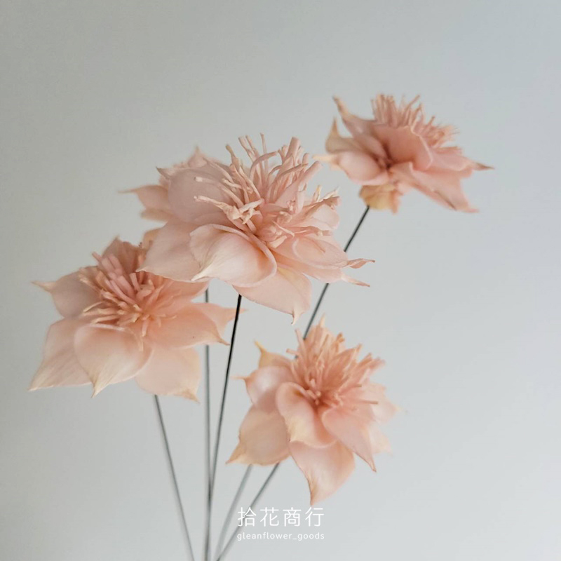 蜜桃橘 (4)