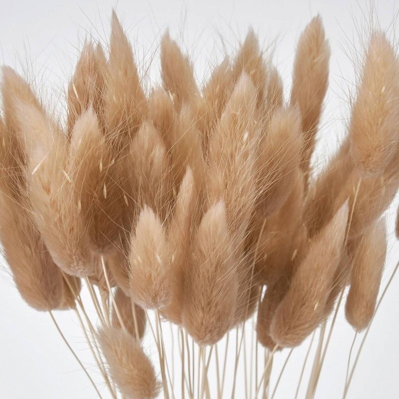 imgi_74_4940095730733