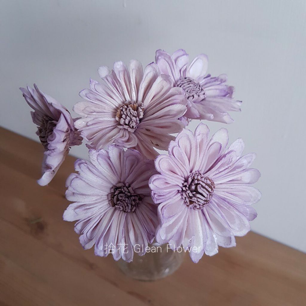拾花 太陽花索拉花 紫色 乾燥花素材 拾花 太陽花索拉花 紫色 乾燥花素材