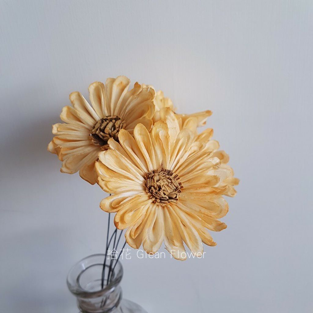 拾花 太陽花索拉花 橘黃 乾燥花素材 拾花 太陽花索拉花 橘黃 乾燥花素材