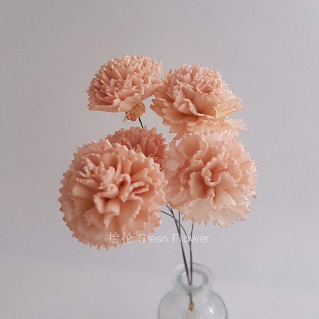 拾花 康乃馨索拉花小朵 奶茶 乾燥花素材